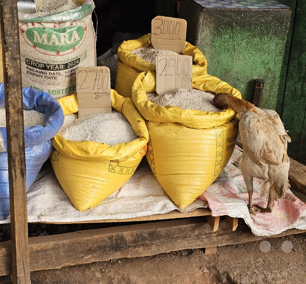 Madagaskar - Antsirabe - Streetlife - Straßenhändler - bester Reis - Testesser :-))