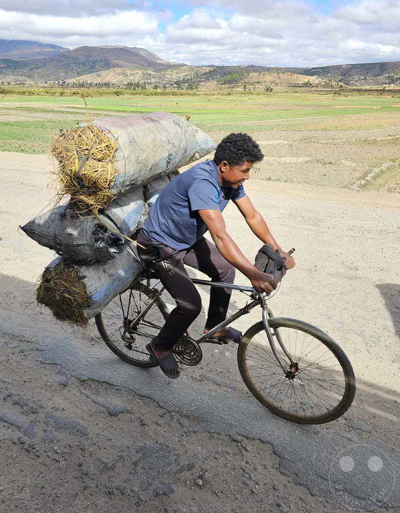 Madagaskar - Manandoana - Streetlife - Strohtransport mit Fahrrad