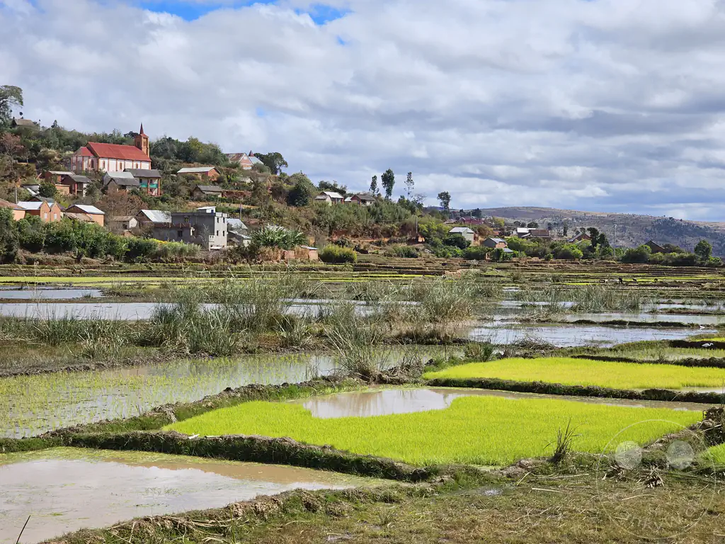 Madagaskar - Manandoana - Landschaft - Reisfelder