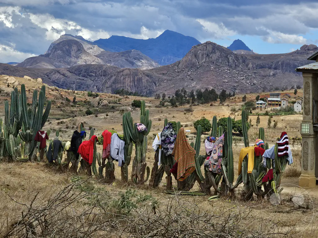 Madagaskar - Anja Community Reserve - Streetlife - Wäsche im Kaktus