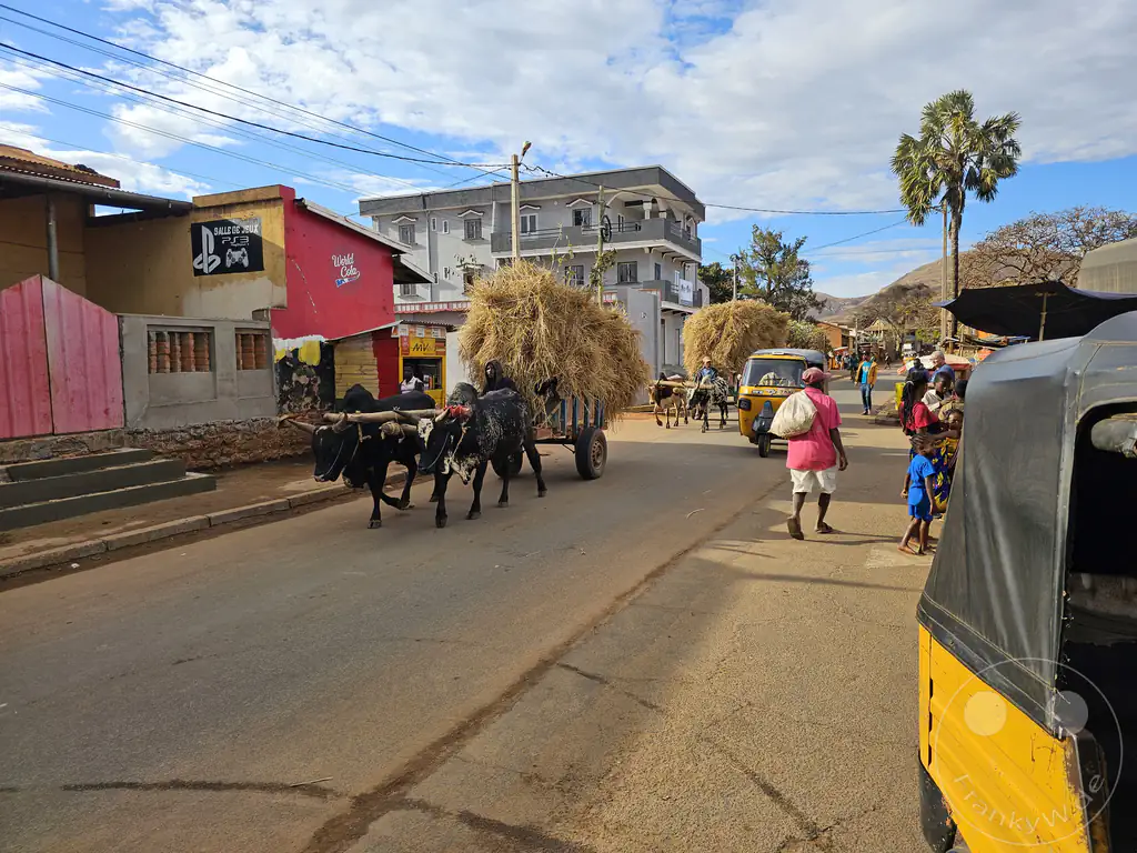 Madagaskar - Ihosy - Zubu ziehen Ochsenkarren mit Heu