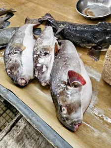Senegal - Dakar Vegetable Market Kermel - Marché Légumes