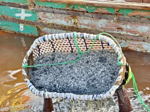 Senegal - Dakar - Lac Rose - pinker Salzsee - Salzabbau im See