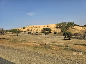 Senegal - Lompoul - Sanddünen