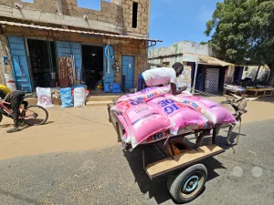 Senegal - Dakar - Lompoul - Streetlife - Pferdekarren - Markt