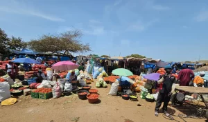 Senegal - Dakar - Lompoul - Streetlife - Pferdekarren - Markt