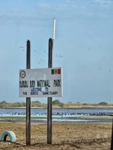 Senegal - UNESCO-Weltnaturerbe - Djoudj National Park Of Bird