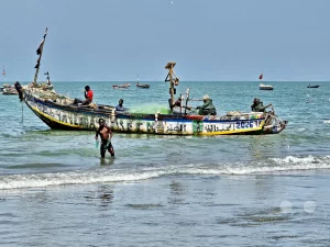 Gambia - Tanji - Fischerdorf - Streetlife - Fischerboote