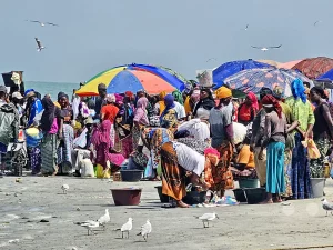 Gambia - Tanji - Fischerdorf - Streetlife - Fischmarkt