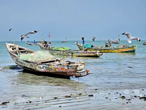 Gambia - Tanji - Fischerdorf - Streetlife - Fischerboote