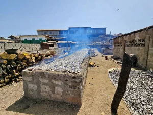 Gambia - Tanji - Fischerdorf - Streetlife - Fisch räuchern