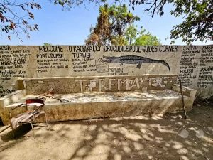 Gambia - Kachikally - Crocodile pool - Krokodile