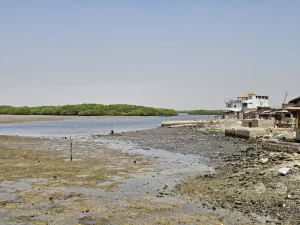Senegal - Insel Fadiouth - Muschelinsel - Blick auf die Mangrovenwälder