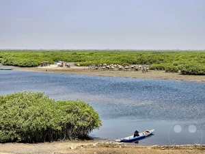 Senegal - Insel Fadiouth - Muschelinsel - Getreidespeicher auf Stelzen