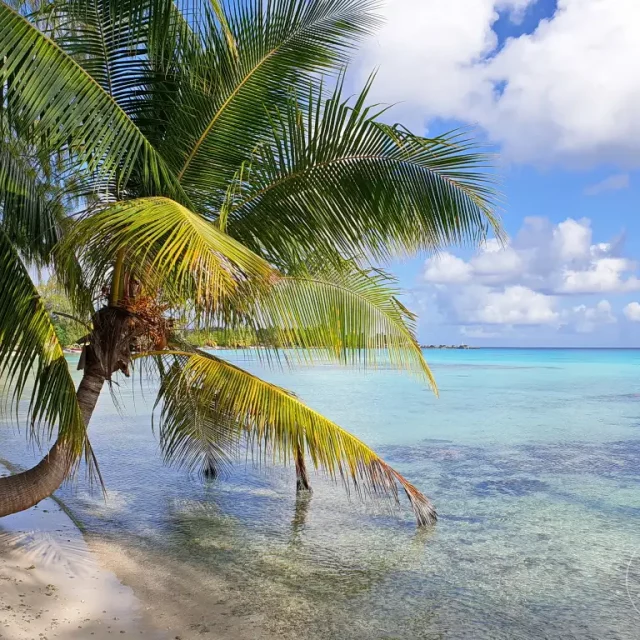 French Polynesia - Rangiroa - Lagune view