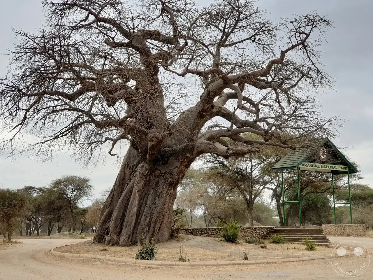 Tansania - Tarangire-Nationalpark
