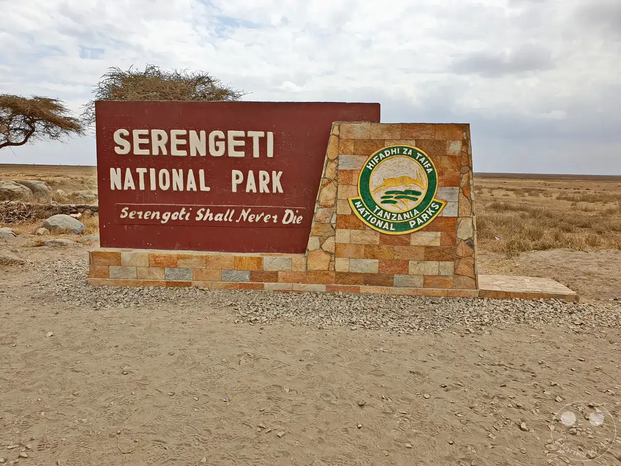 Tansania - Serengeti