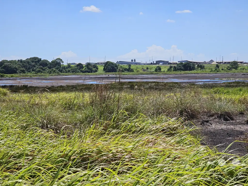 Trinidad - La Brea Pitch Lake