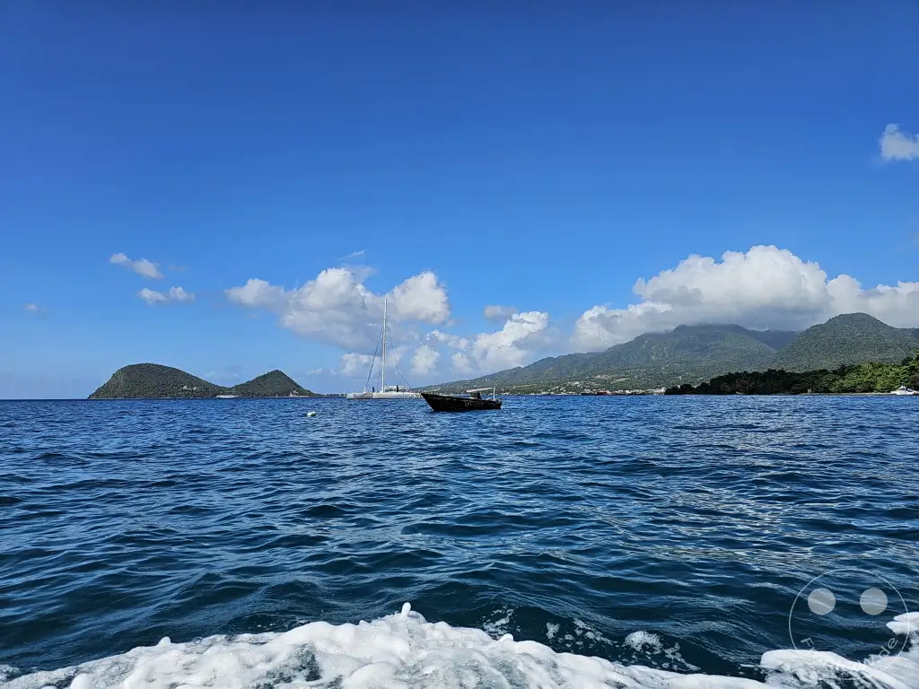 Dominica - Whale watching