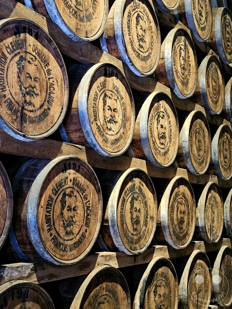 Martinique - Destillerie Habitation Clément - Rum barrels
