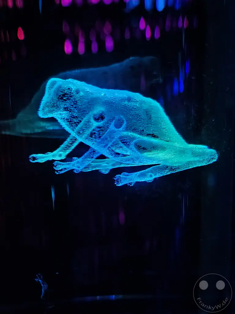 VAE - Dubai - Museum of the Future - Vault of Life