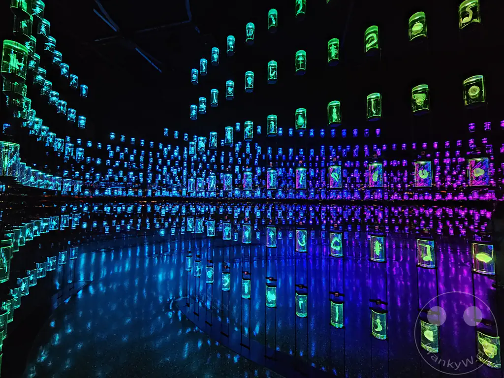 VAE - Dubai - Museum of the Future - Vault of Life