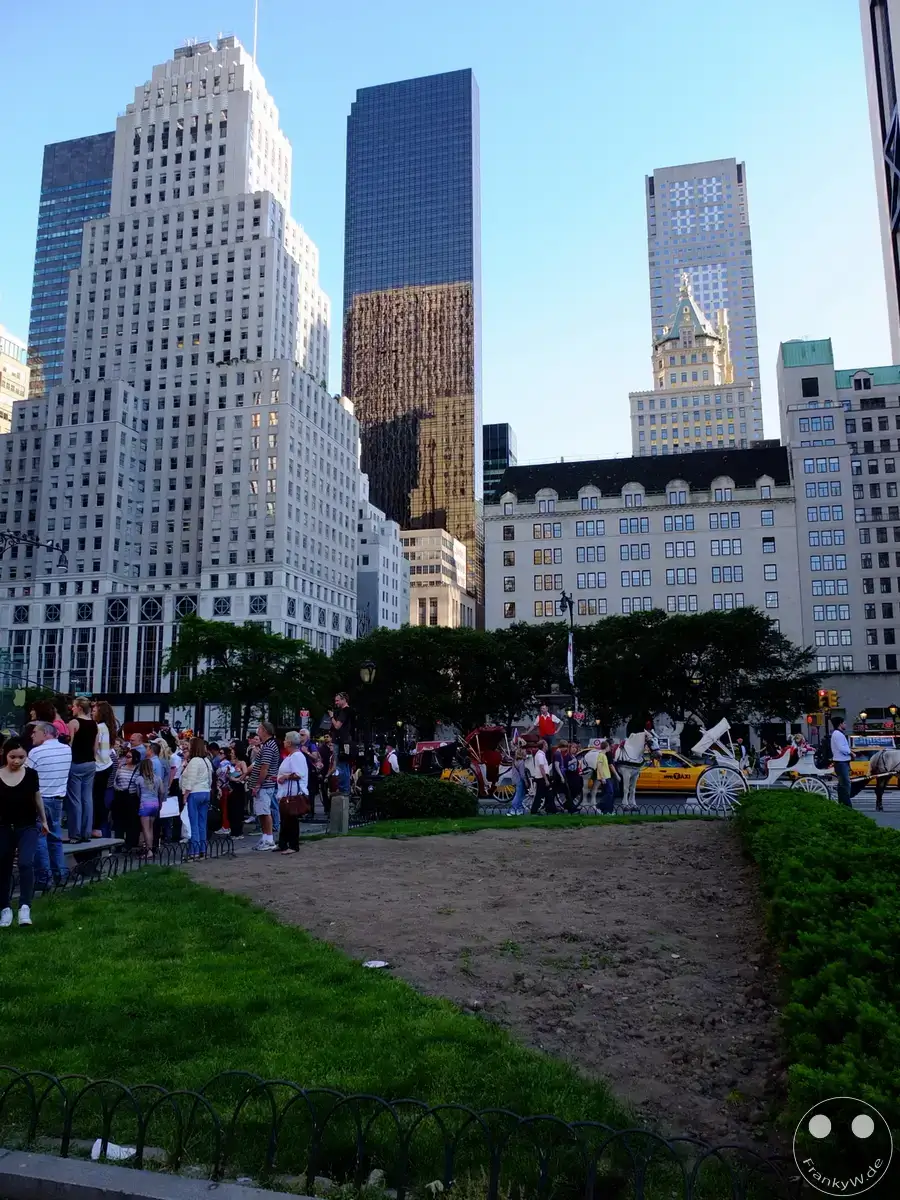 New York - Central Park (12)