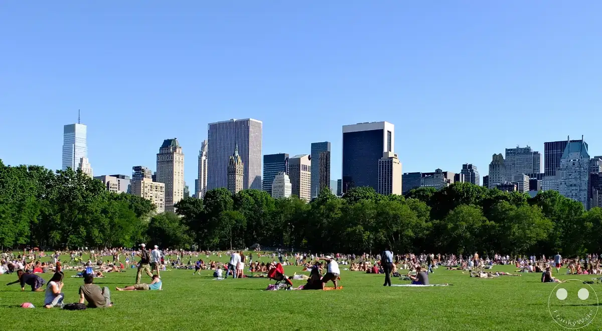 New York - Central Park (6)