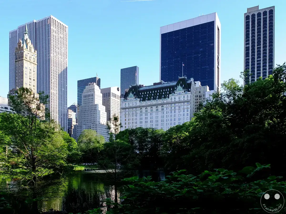 New York - Central Park (8)