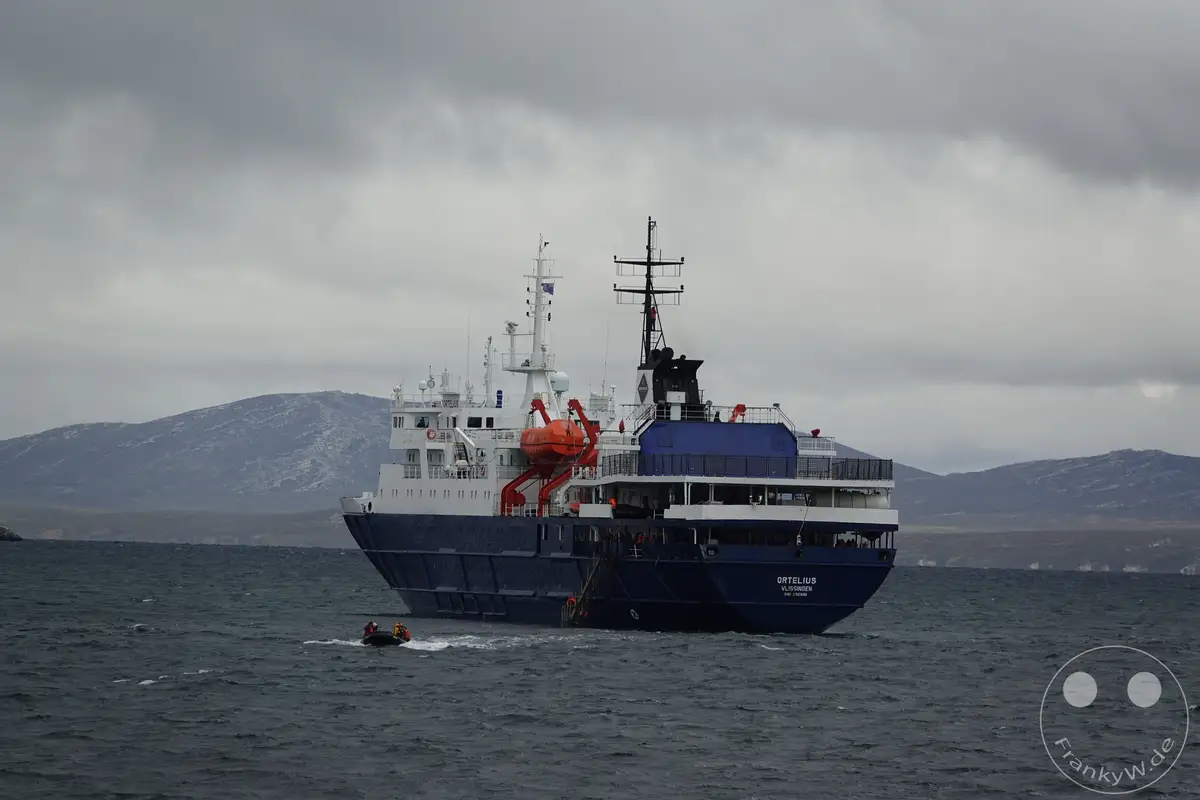 Falklandinseln (Malvinen) - Carcass Island