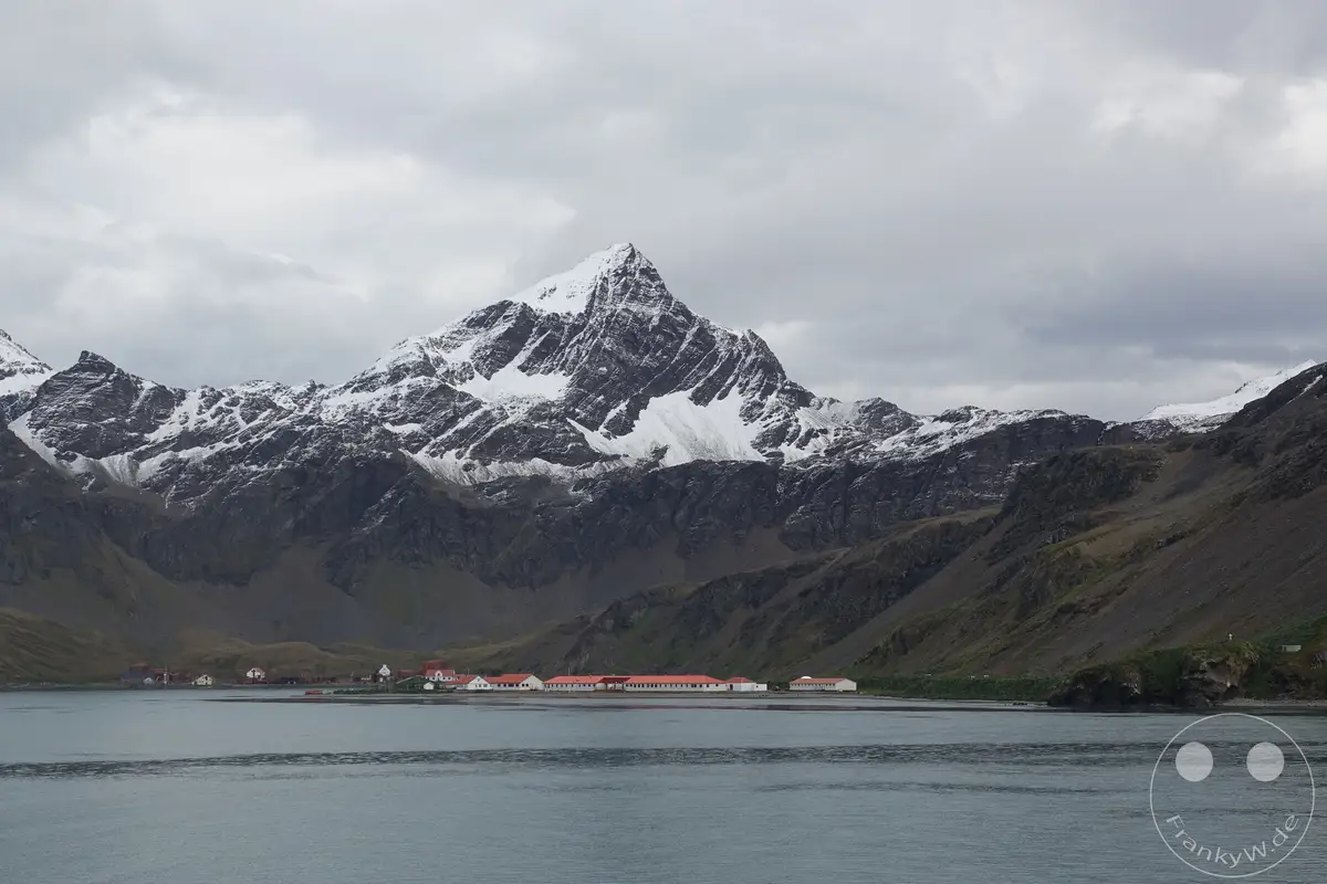 Südgeorgien und Südliche Sandwichsinseln - King Edward Cove