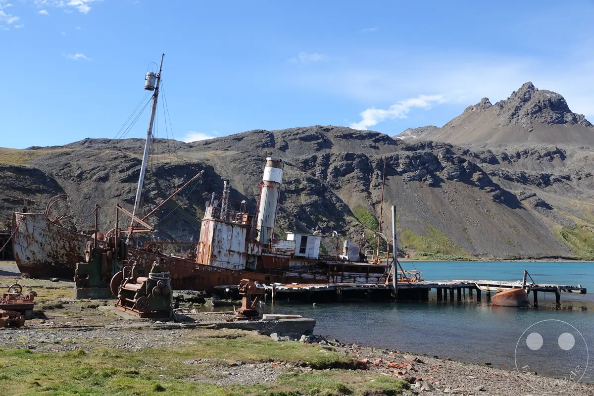 Südgeorgien und Südliche Sandwichsinseln - Grytviken
