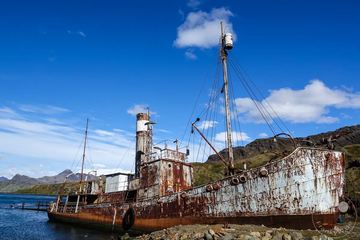 Südgeorgien und Südliche Sandwichsinseln - Grytviken