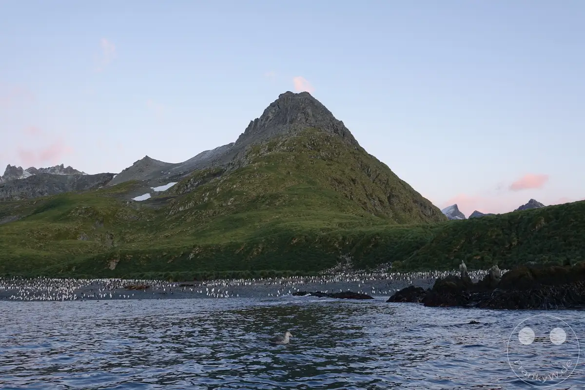 Südgeorgien und Südliche Sandwichsinseln - Cooper Bay