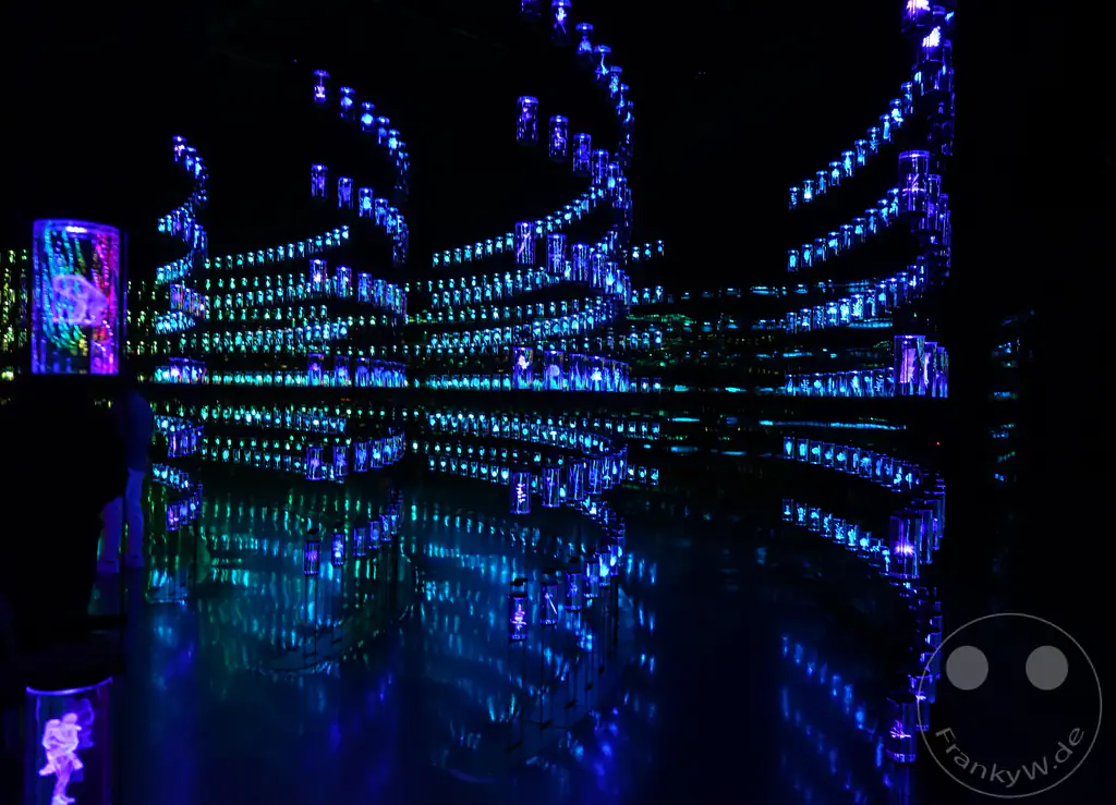 VAE - Dubai - Museum of the Future - Vault of Life
