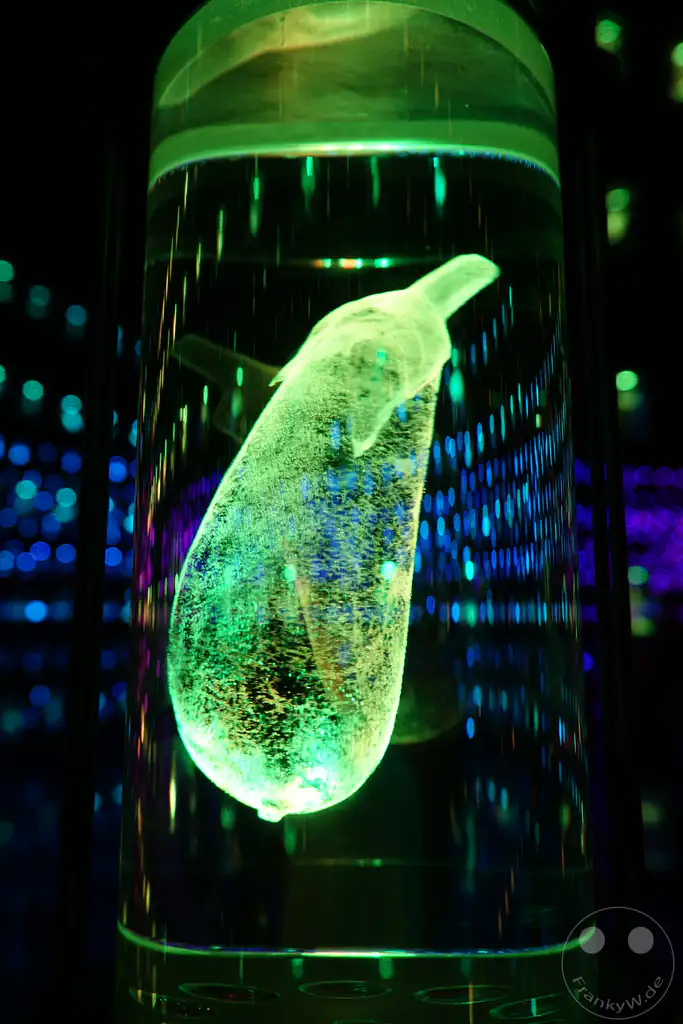 VAE - Dubai - Museum of the Future - Vault of Life