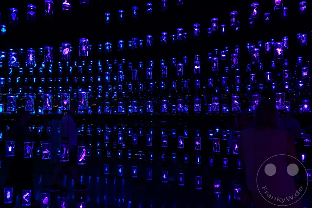 VAE - Dubai - Museum of the Future - Vault of Life