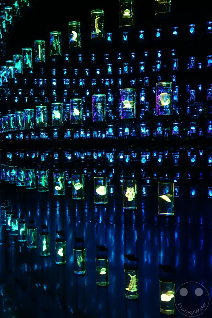 VAE - Dubai - Museum of the Future - Vault of Life