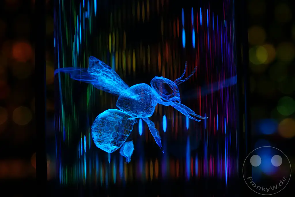 VAE - Dubai - Museum of the Future - Vault of Life