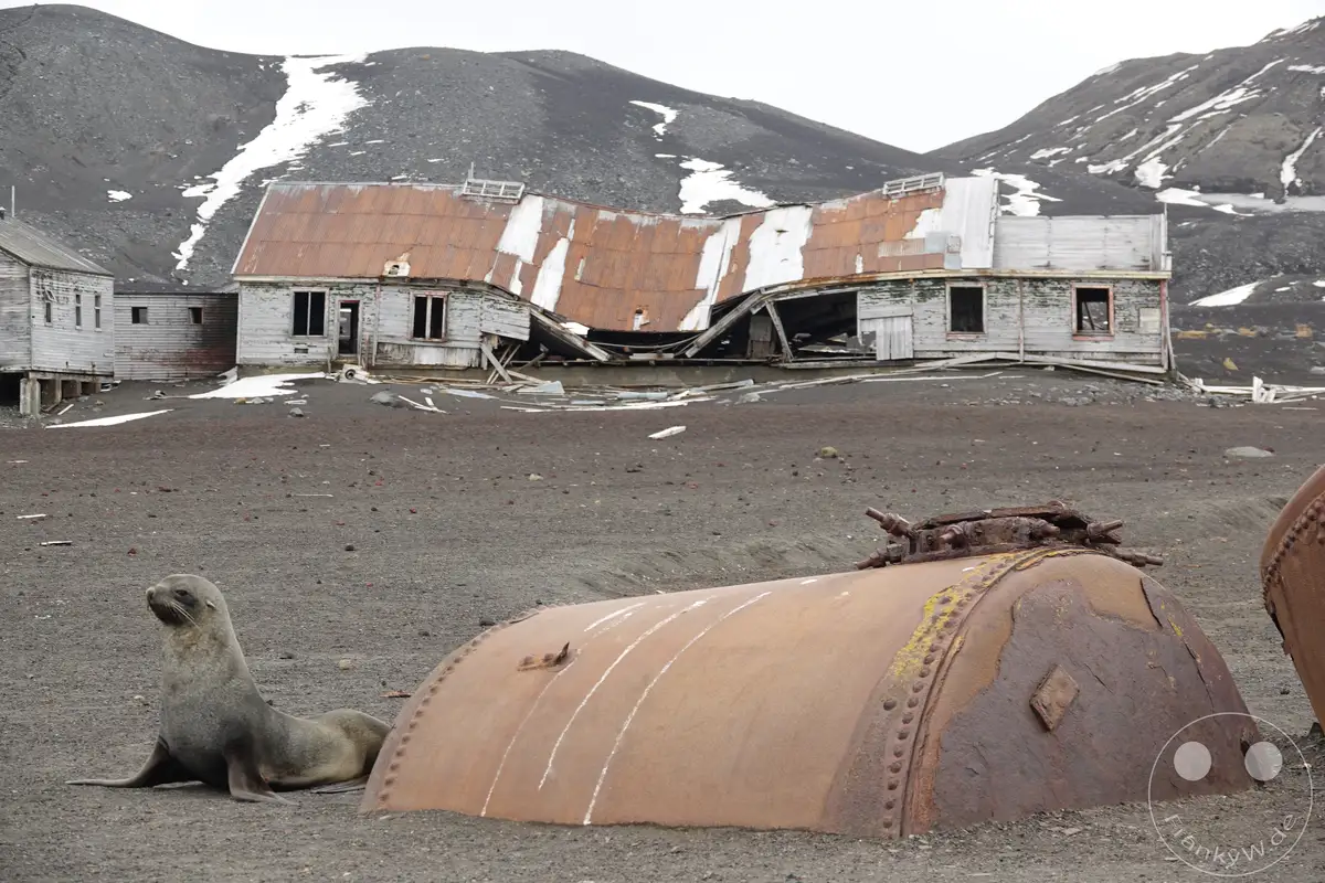 Antarktis - Deception Island