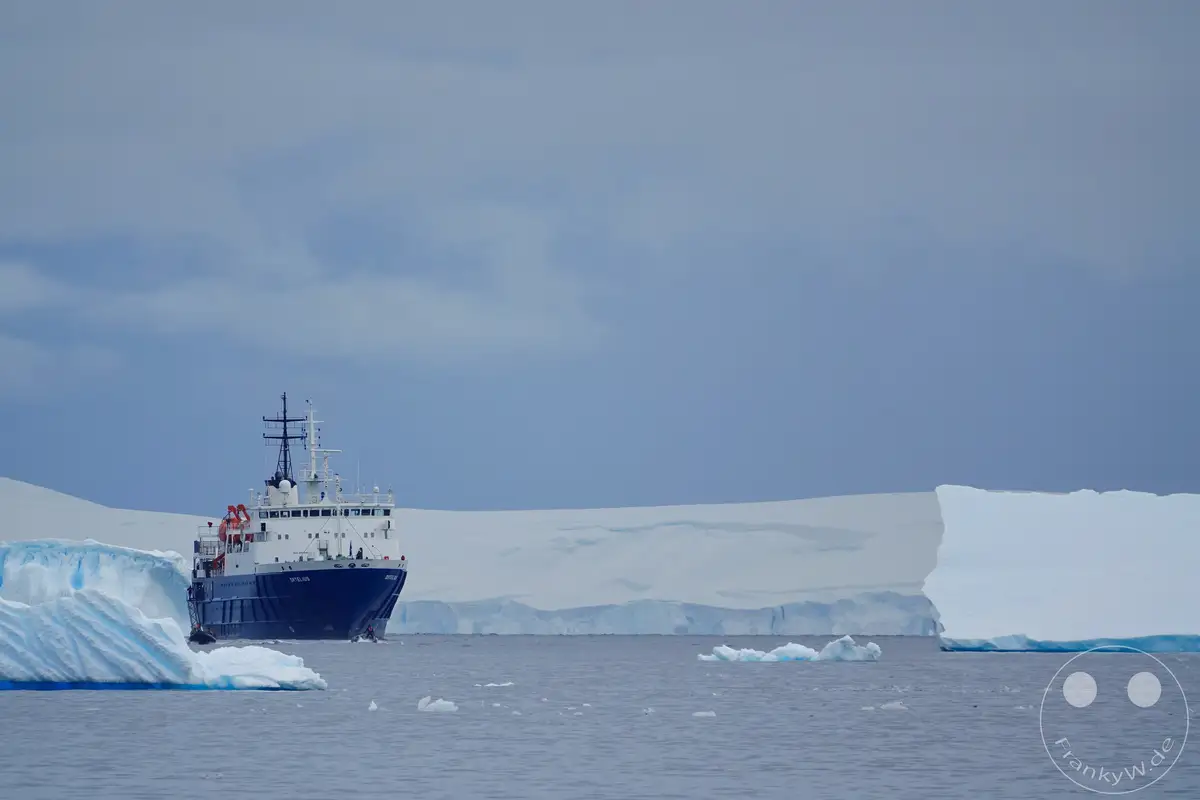 Antarktis - Cuverville Island