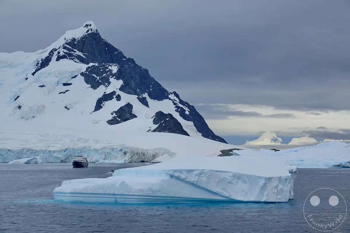 Antarktis - Cuverville Island