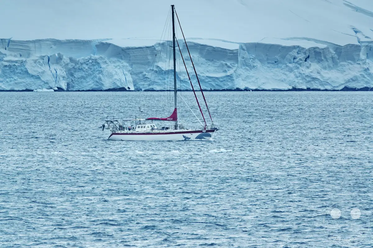 Antarktis - Goudier Island