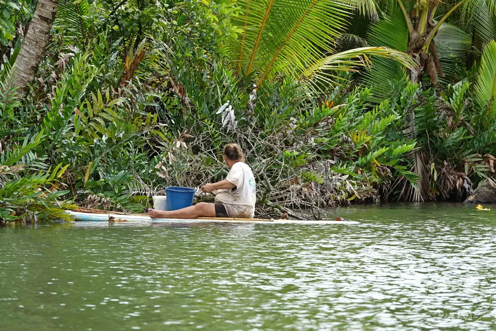 French Polynesia - Raiatea - Fa'aroa Bay