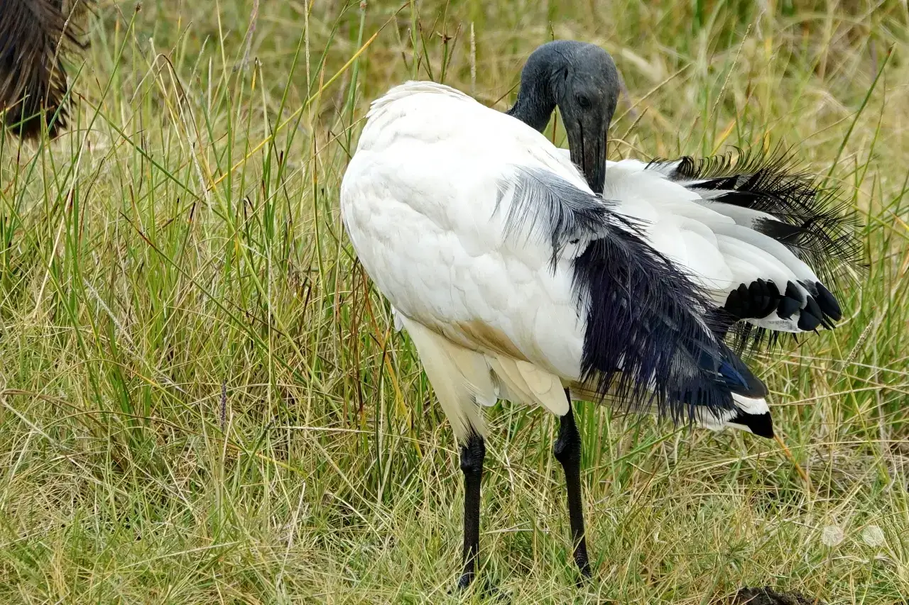 Tansania - Arusha-Nationalpark