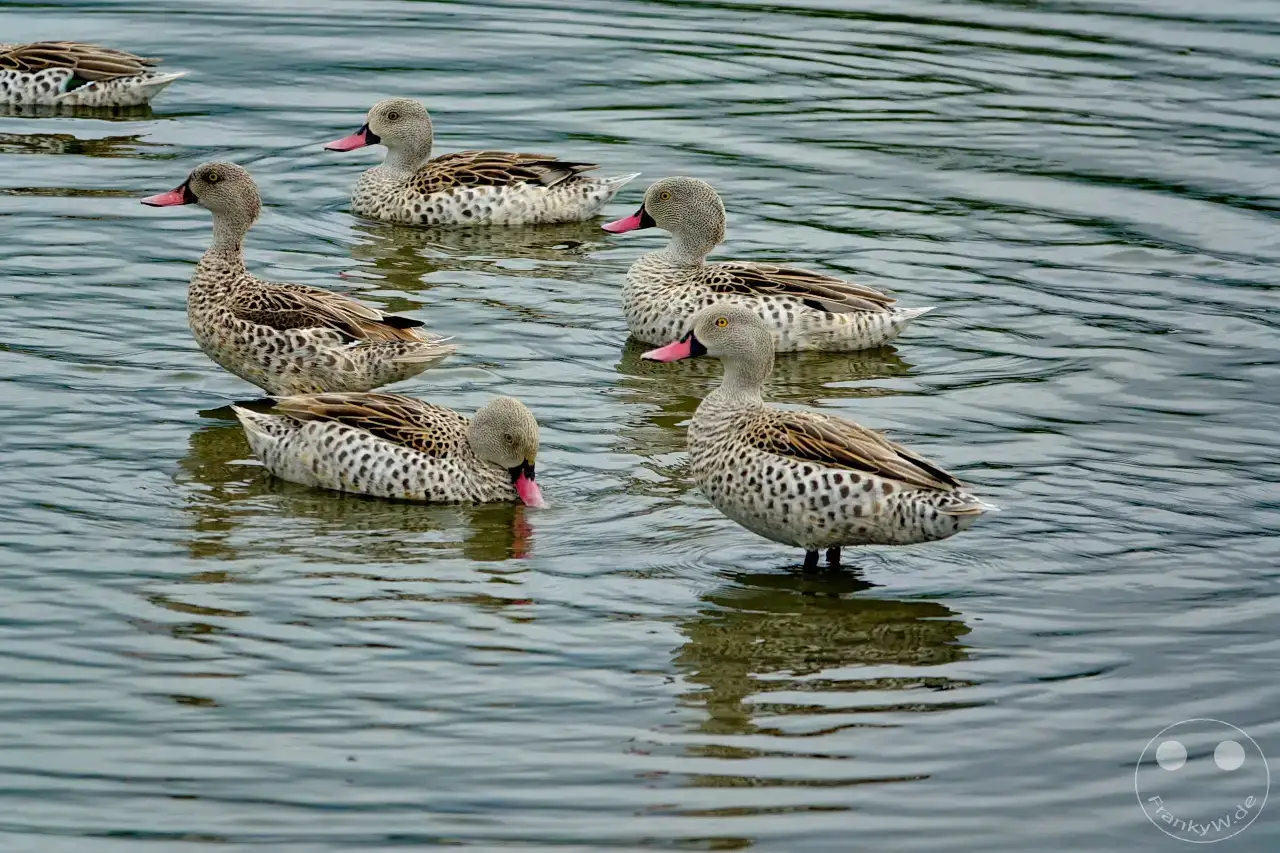 Tansania - Arusha-Nationalpark