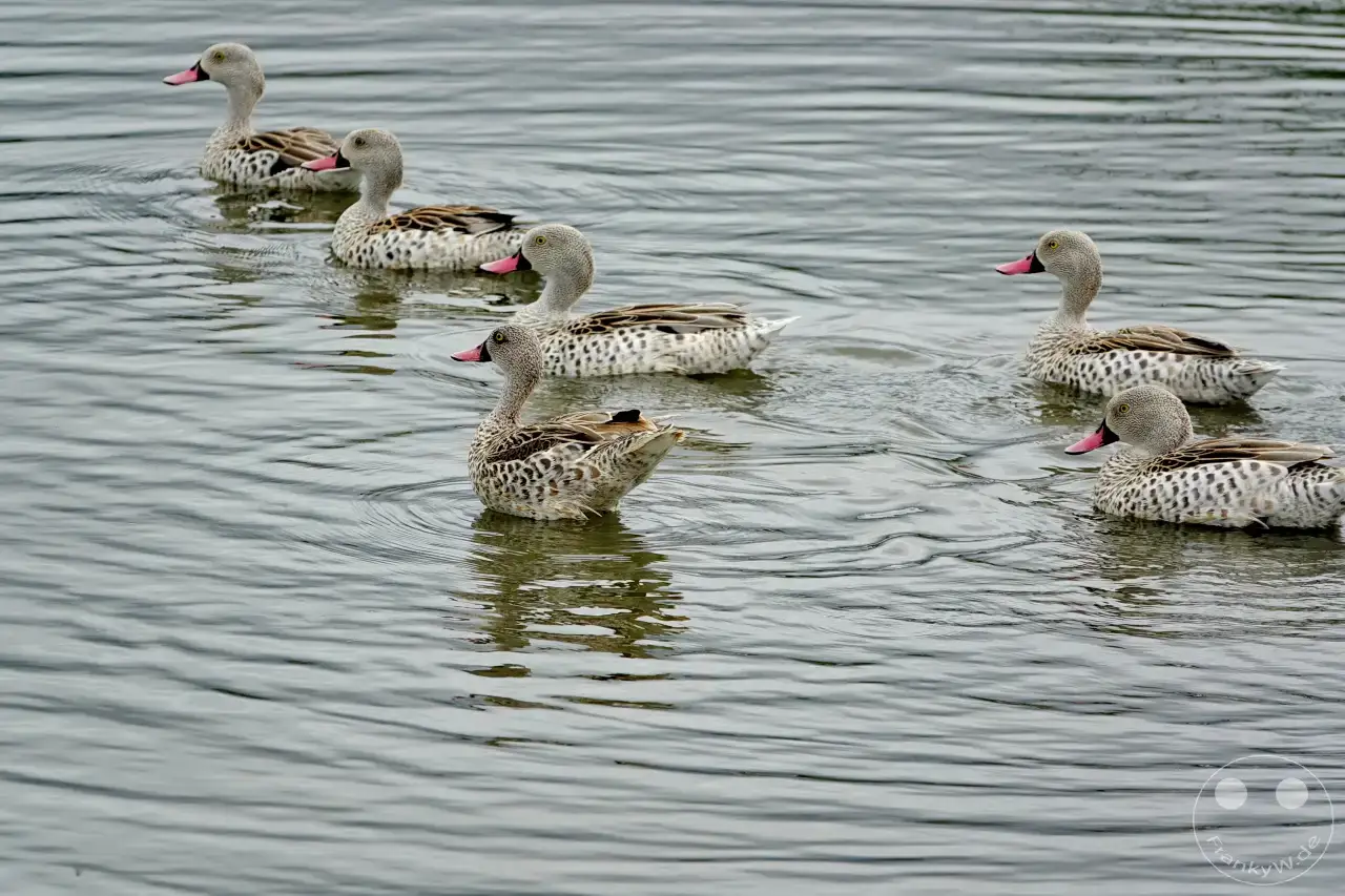 Tansania - Arusha-Nationalpark