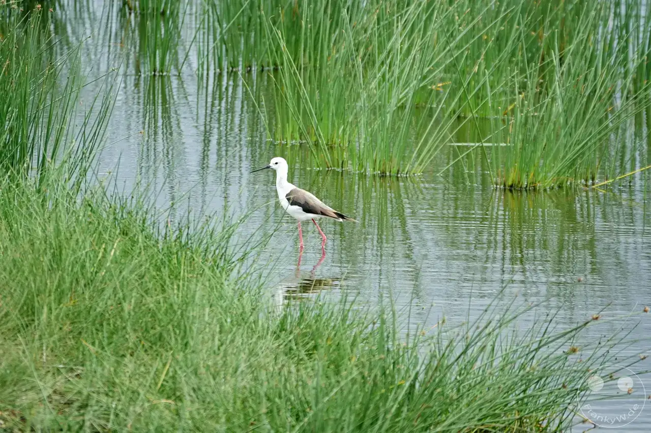 Tansania - Arusha-Nationalpark