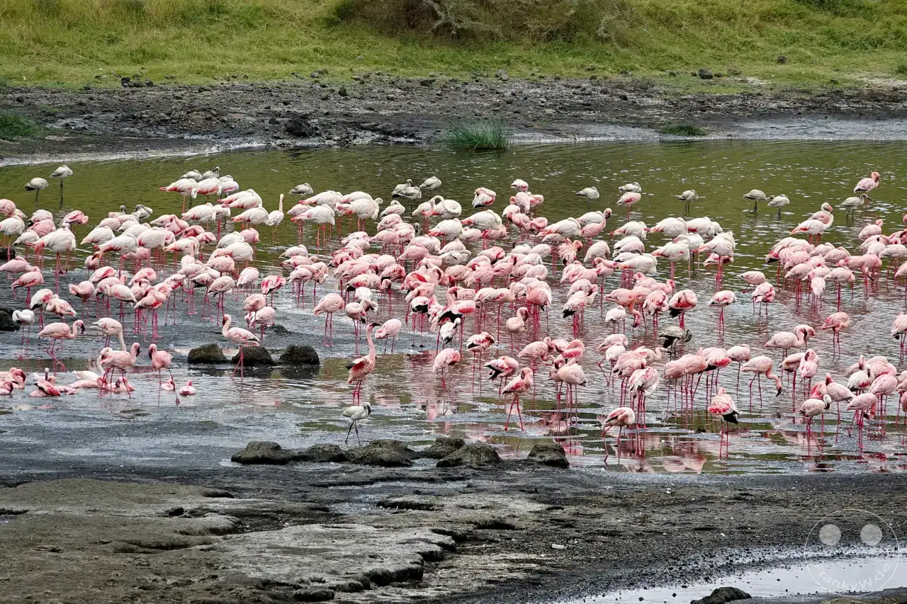 Tansania - Arusha-Nationalpark