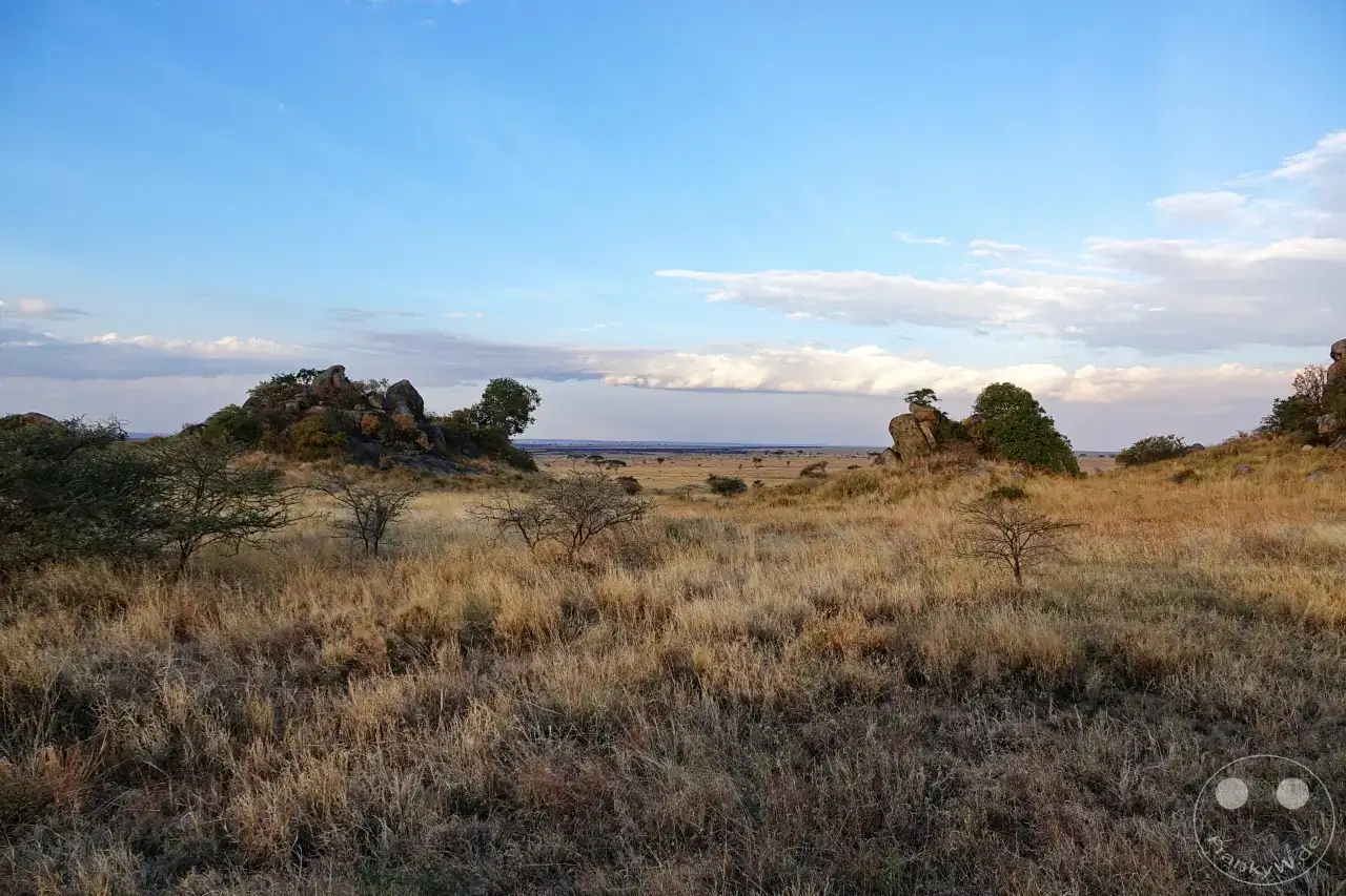 Tansania - Serengeti